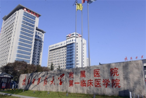 陕西中医药大学附属医院整形科咋样?脂肪填充-隆鼻案例效果预览