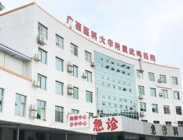 广西医科大学附属武鸣医院.jpg