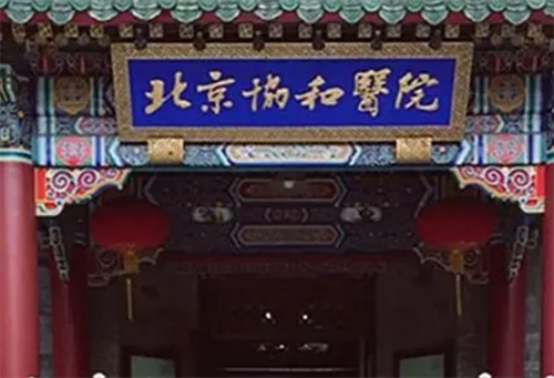 46.png