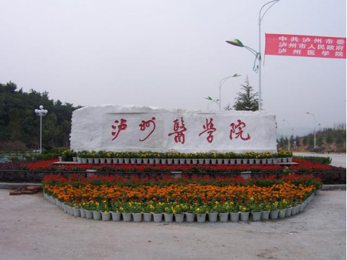 泸州医学院整形科怎么样？案例评价及专家介绍