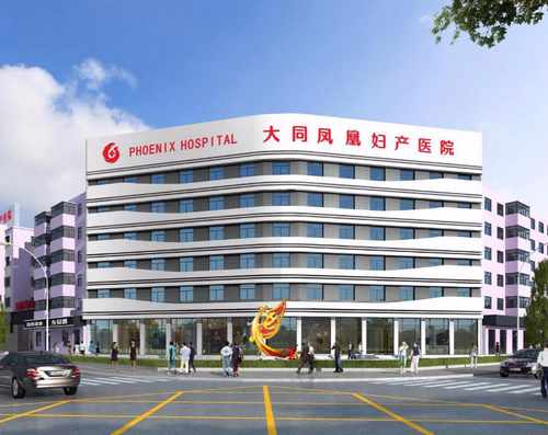 大同凤凰妇产医院美容整形科假体隆鼻口碑怎么样？