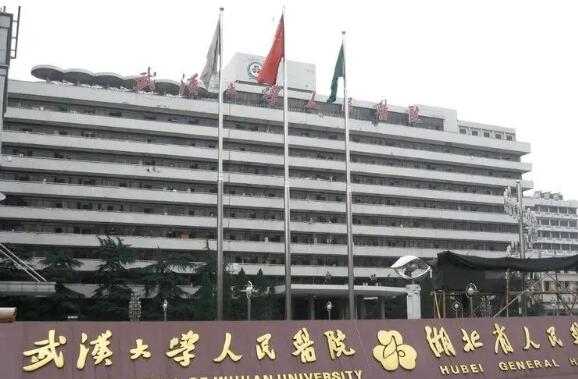 武汉大学人民医院整形烧伤外科去眼袋多少钱？科室介绍，2024年全新价格公布