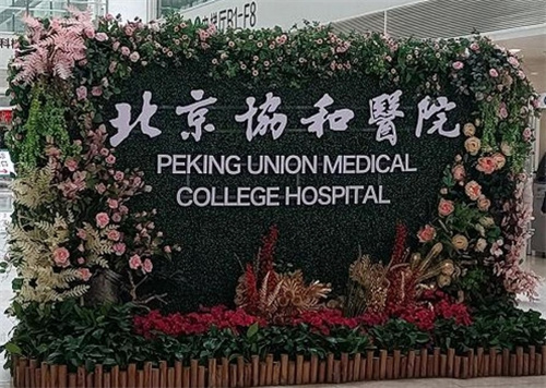 北京协和医院美容科价目表预览~案例反馈汇总|口碑医生名单