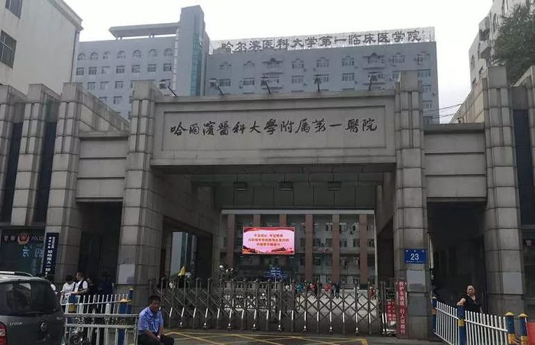 哈医大一院植发中心在哪里?发际线种植真人案例|附价格表