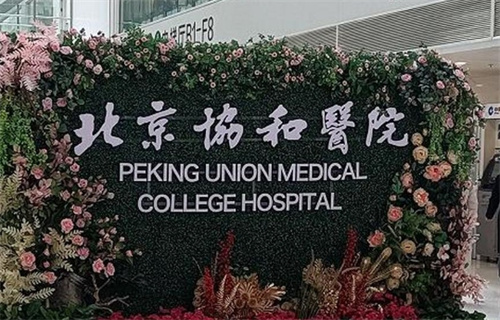 北京协和医院整形美容外科在哪个院区？医院信息\案例在线看