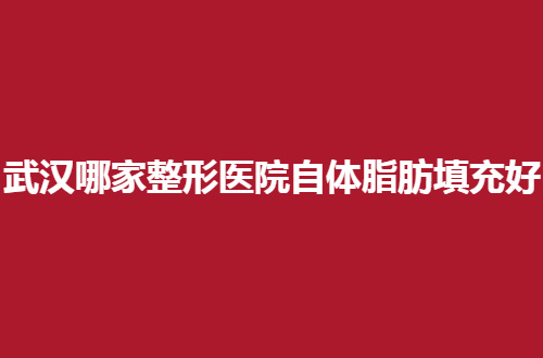 武汉哪家整形医院自体脂肪填充好？5家医院汇聚在此