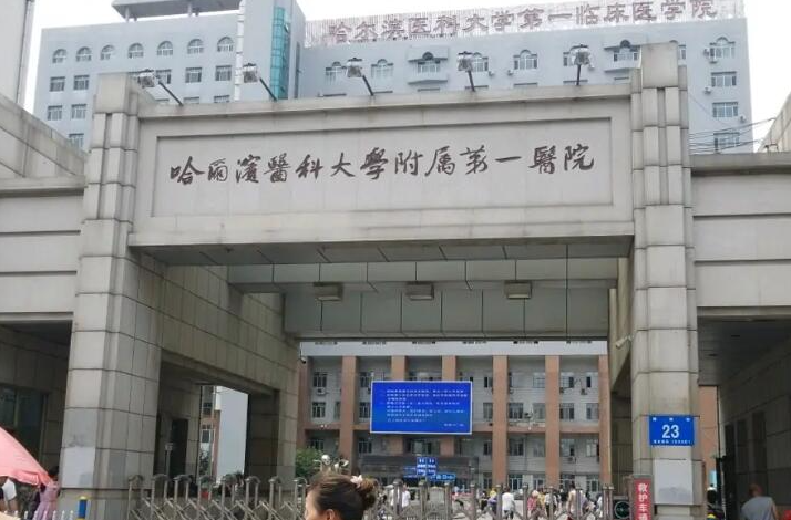 哈医大一院整形美容科地址在哪里?医生水平\隆鼻真实案例参考