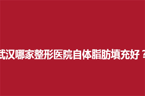 武汉哪家整形医院自体脂肪填充好？公立与私立均整理了