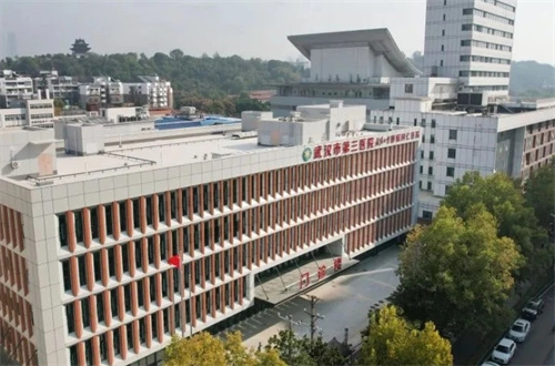 武汉市第三医院2.jpg