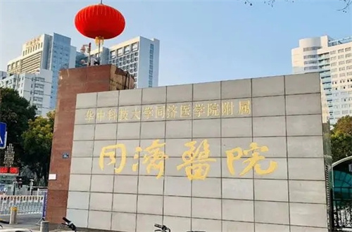 武汉同济医院2.jpg