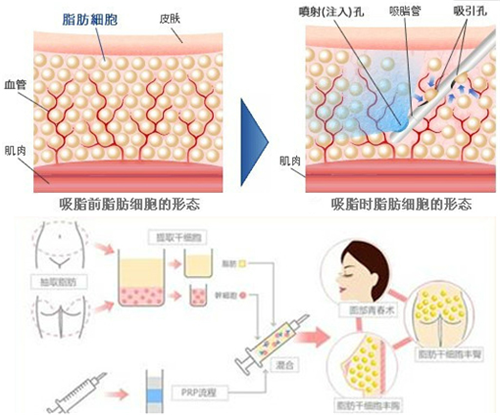 QQ浏览器截图20210910105931.png
