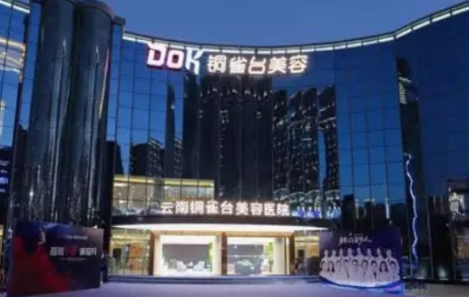 成都铜雀台和恒博天姿哪家好，看医生简介及信息大全