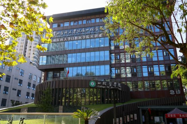 贵州医科大学附属口腔医院收费标准,种植牙效果前后对比图