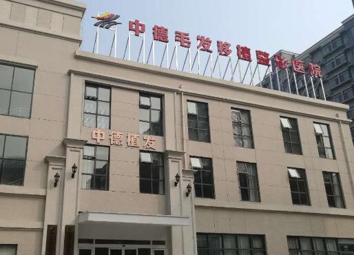 北京中德毛发.jpg