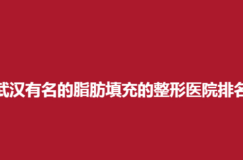 武汉有名的脂肪填充的整形医院排名前五，一一点评了口碑