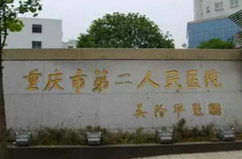 重庆第二人民医院烧伤整形科隆鼻领域如何啊？隆鼻技术解析与医生口碑