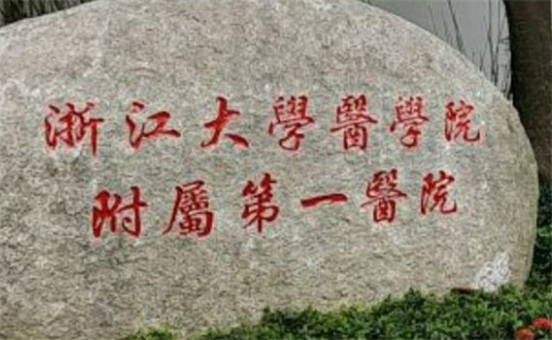 浙江大学医学院附属第一医院整形美容科价格表\科室详情及案例查看
