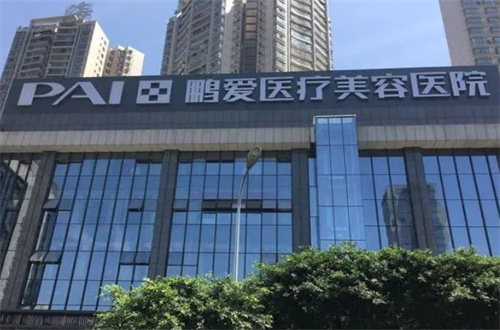 重庆鹏爱2.jpg