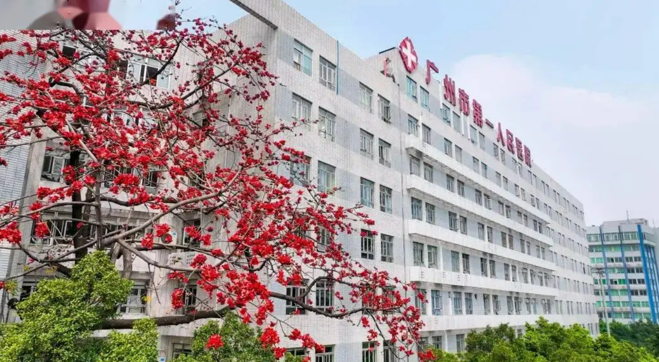广州省人民医院整形科好不好? 整形案例整形医生可查