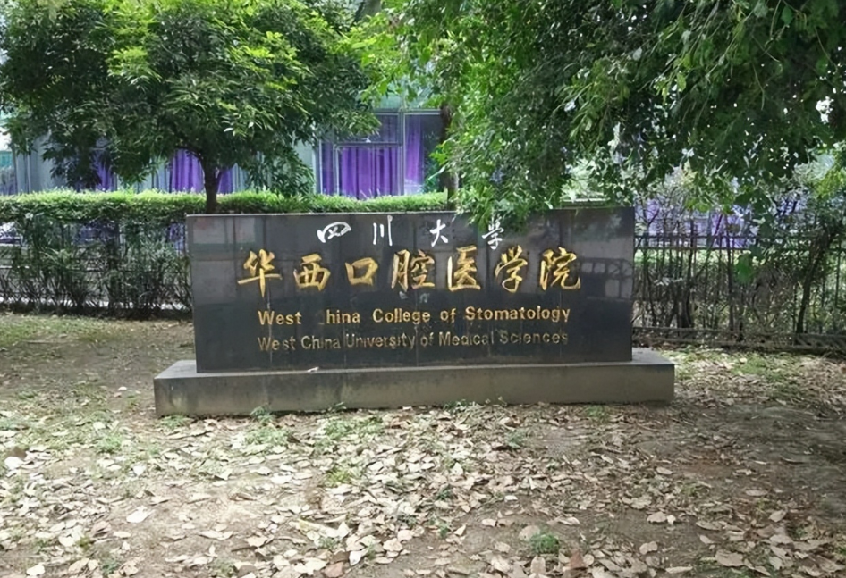 1719573905687.png
