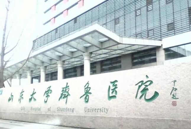QQ截图20240806105411.jpg
