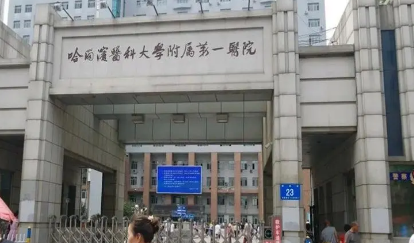 哈尔滨医科大学第一附属医院整形科医生有哪些？坐诊医院、隆鼻案例对比请查收！