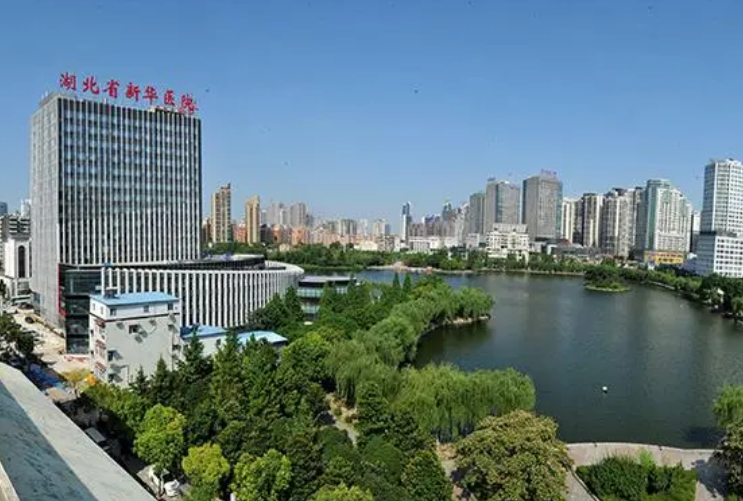 荆楚理工学院附属中心医院整形外科医生有哪些？嫩肤真实信息/优势技术在线获取!