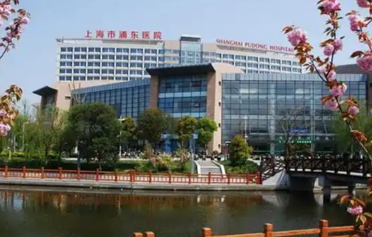 上海市浦东医院整形科医生有哪些？隆胸医院实力大咖信息更新2025