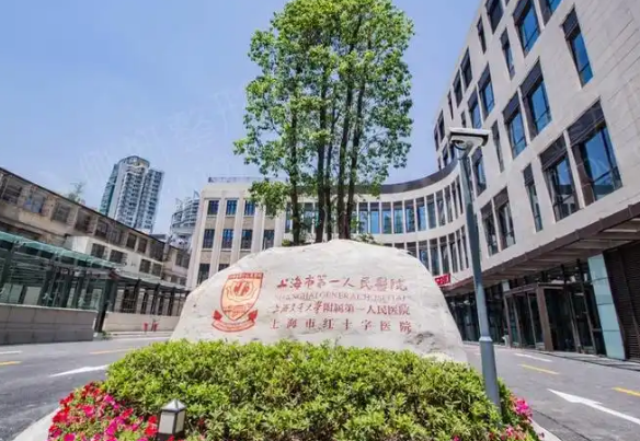 上海茸城医院整形科医生有哪些？隆胸口碑不错的实力专家技术点评