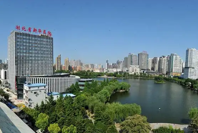 湖北省中西医结合医院医疗美容科医生有哪些？眼部医生技术优势分析揭秘！