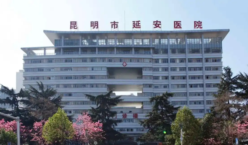延安医院整形美容科医生有哪些？眼部医院实力大咖信息更新2025