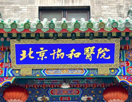 北京协和医院整形美容外科吸脂怎么样？医生资料&吸脂技术优势