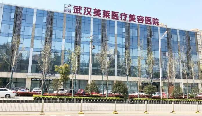 武汉最好的美容整形医院排名，汇总超全资料分享