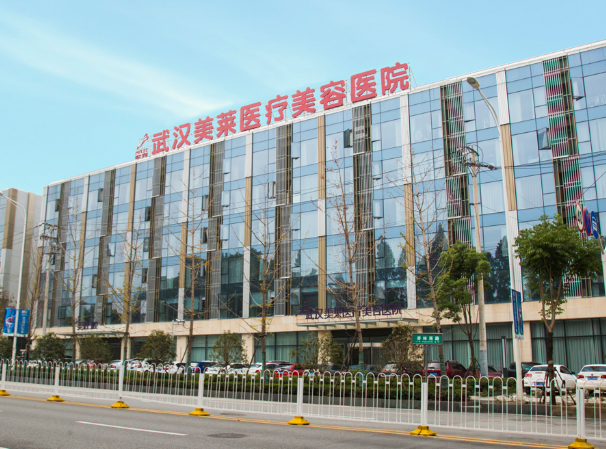 武汉权威整形医院排行榜 ，前五强都是实力代表