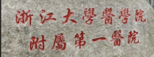 杭州做假体隆鼻整形医院有哪些？这几家医院必看，实力口碑广受好评！