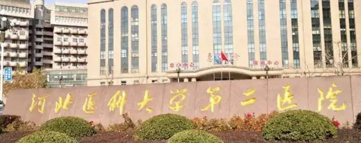 2026 石家庄假体隆鼻医院排名前五，公立私立全解析