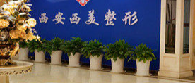 西安乳房下垂矫正修复水平好的医院怎么样，技术、价格全解析