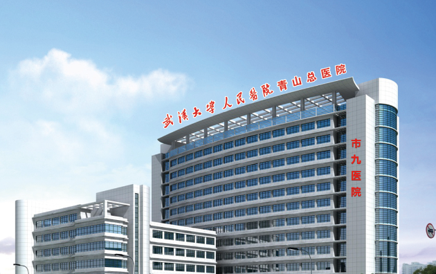 武汉市第九医院整形科怎么样？隆胸案例反馈来袭，技术优势揭秘！