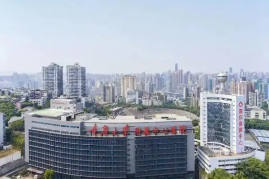 重庆市第四人民医院整形科怎么样？热门隆鼻医生特长分析，等你来选~
