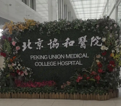 北京隆鼻哪里做的好？评价高实力硬！