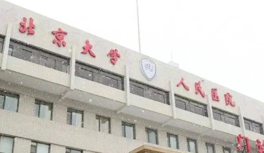 北京大学人民医院整形美容科双眼皮价格多少？技术解析与恢复指南