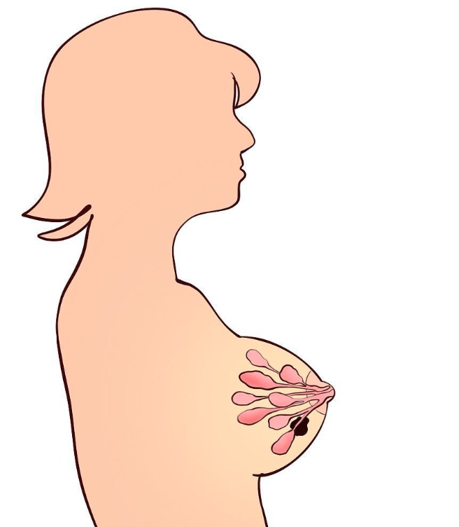 屏幕截图 2026-03-21 214441.png