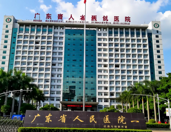 广东省人民医院整形科隆胸怎么样？技术与价格解析