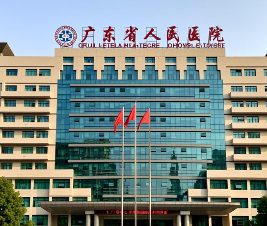 广东省人民医院整形科隆鼻多少钱？技术扛把子，火热上线！