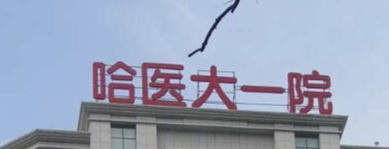 哈尔滨面部填充好的医院排名，一起来看看，哪家医院实力口碑更好？