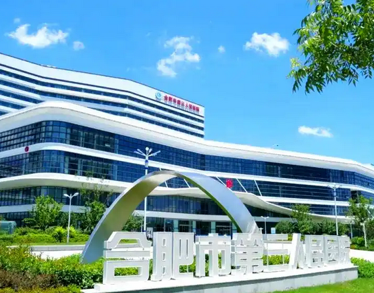 合肥市第三人民医院美容整形门诊做儿童耳畸形怎么样？案例分享及价格
