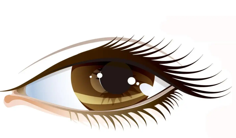 7ae543b2f23ecab6d4f1ba6da1622346.png